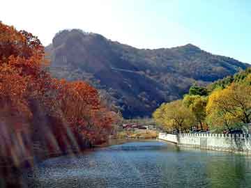 澳门二四六天天彩图库，骑自行车旅游